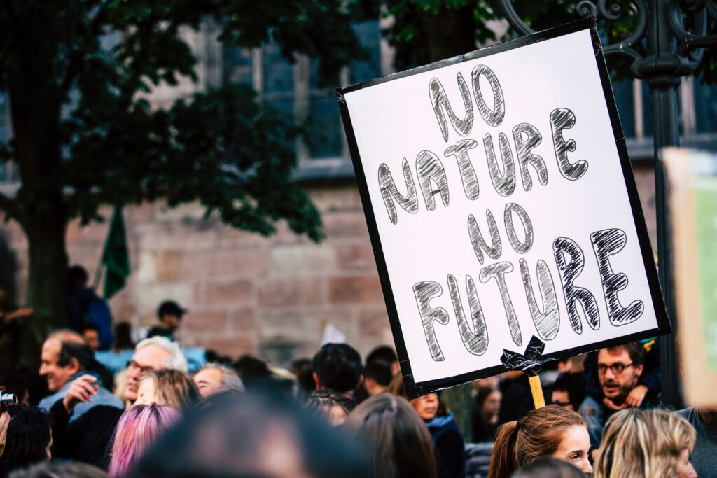 Le Rôle De L'éducation Environnementale : Sensibiliser Les élèves à La ...